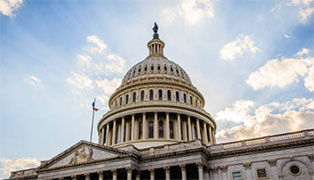 View Government Resources