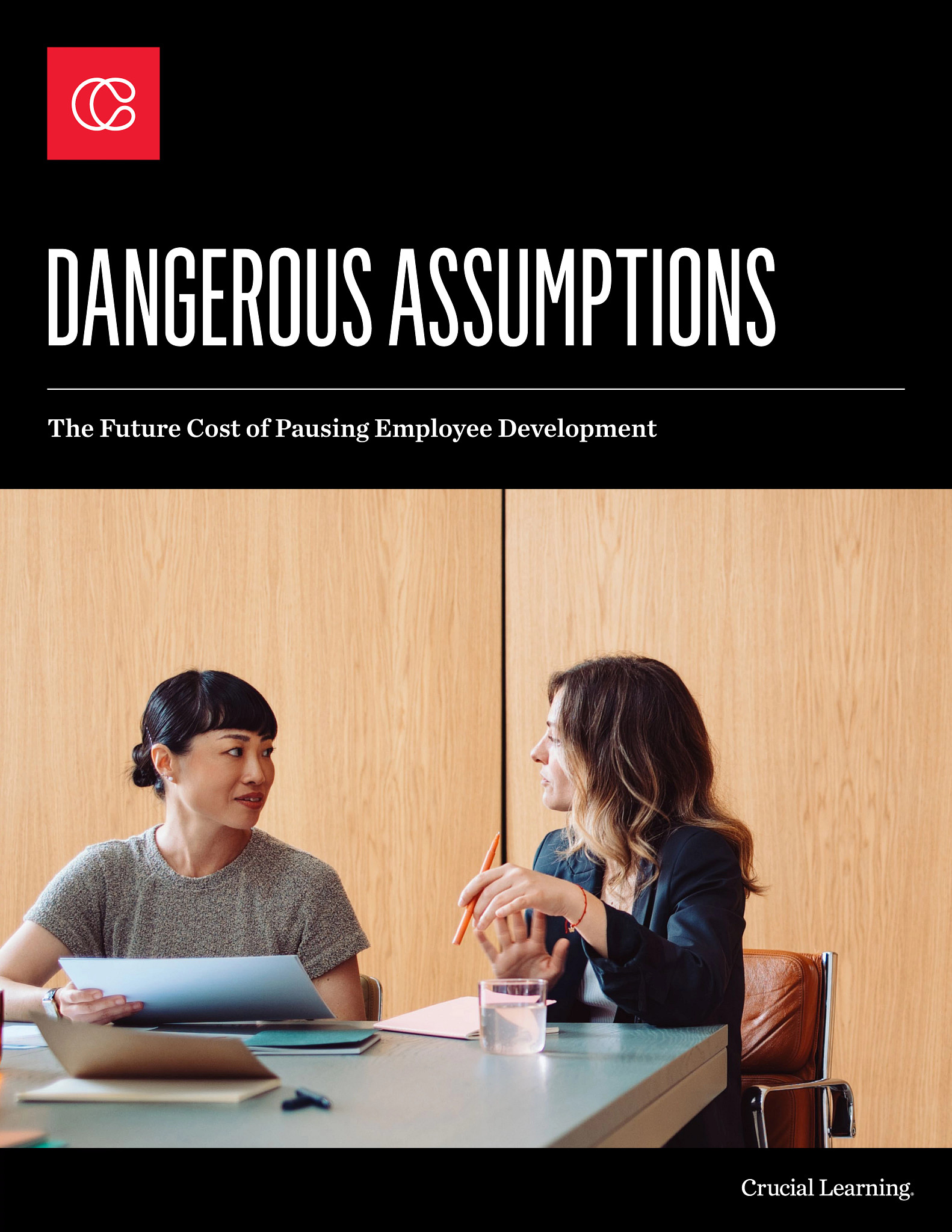 Ebook Dangerous Assumptions
